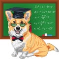 Vector graduated dog Pembroke Welsh corgi