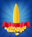 Vector grains and cobs of corn and red ribbon