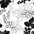 Vector Grape berry healthy food. Black and white engraved ink art. Seamless background pattern. Royalty Free Stock Photo