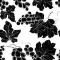 Vector Grape berry healthy food. Black and white engraved ink art. Seamless background pattern. Royalty Free Stock Photo