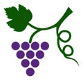 Vector Grape Plant Icon