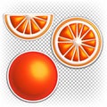 Vector grapefruit. 3d illustration, icon, sticker. isolated on white background. Citrus red fruit Royalty Free Stock Photo