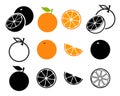 Vector grapefruit and orange whole fruit and slices