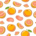 Vector Grapefruit seamless pattern Royalty Free Stock Photo