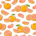 Vector Grapefruit seamless pattern Royalty Free Stock Photo