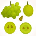 Vector grapes in different angles.