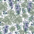 Vector grapes green purple seamless pattern print background. Royalty Free Stock Photo