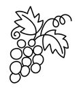Vector grapes line icon. Fruit black and white illustration or coloring page