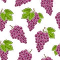 Vector Grapes Seamless Pattern Royalty Free Stock Photo