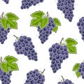 Vector Grapes Seamless Pattern