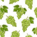 Vector Grapes Seamless Pattern Royalty Free Stock Photo