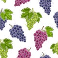 Vector Grapes Seamless Pattern Royalty Free Stock Photo