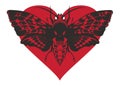 Banner with butterfly Dead head on red heart