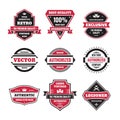 Vector graphic badges collection. Original vintage badges.