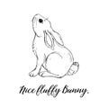 Vector Graphic of a Cute fluffy Bunny. Rabbit,