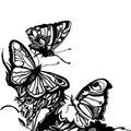 Vector graphic design butterfly art illustration Royalty Free Stock Photo