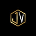 Vector Graphic Initials Letter JV Logo Design Template