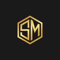 Vector Graphic Initials Letter SM Logo Design Template