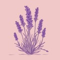 Minimalistic Lavender Vector Graphic