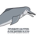 Vector graphic of freshwater dolphin day