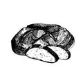 Vector graphic illustration of bread with sliced pieces . Black and white sketch on a white background. Suitable for
