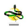 Vector Graphic Illustration of Coral Snake or Micrurus Isolated