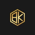 Vector Graphic Initials Letter BK Logo Design Template