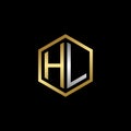 Vector Graphic Initials Letter HL Logo Design Template