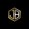 Vector Graphic Initials Letter JB Logo Design Template