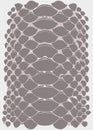 Vector graphic linear background of snake skin