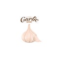 Vector graphic of national garlic day