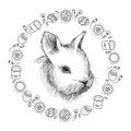 Vector graphic sketch of baby rabbit profile and round frame with Easter symbols in black isolated on white background. Royalty Free Stock Photo