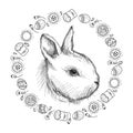 Vector graphic sketch of baby rabbit profile and round frame with Easter symbols in black isolated on white background. Royalty Free Stock Photo