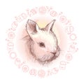 Vector graphic sketch of baby rabbit profile and round frame in pink with Easter symbols isolated on white background. Royalty Free Stock Photo