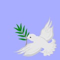 a flying white dove with an olive branch in its beak is a symbol of peace Royalty Free Stock Photo
