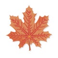 Vector graphics clipart Orange Maple Leaf