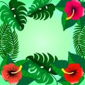 , a frame of tropical leaves of monstera and palm trees. Hibiscus leaves and flowers in the corners Royalty Free Stock Photo