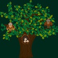 two owls are sitting on a large oak tree small owlets are visible in the hollow Royalty Free Stock Photo