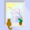 A tabby cat sits on a sunny window sill and a cactus in a pot stands