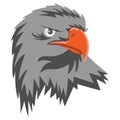 Vector Graphics of Silver Eagle Mascot or Eagle Head