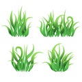 Vector grass butches on white background