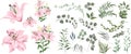 Grass and flower set. Eucalyptus, different plants and leaves. Pink lilies , branches with flowers