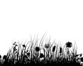 Vector grass and flowers