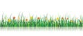 Vector Grass Illustration With flowers Royalty Free Stock Photo