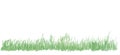 Vector grass illustration Royalty Free Stock Photo