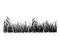 Vector grass isolated