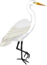 Vector Great white heron