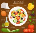 Vector greek salad recipe.