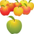 Vector Green apple vs set of red and yellow apples