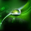 Vector green background with leaves and dew drops